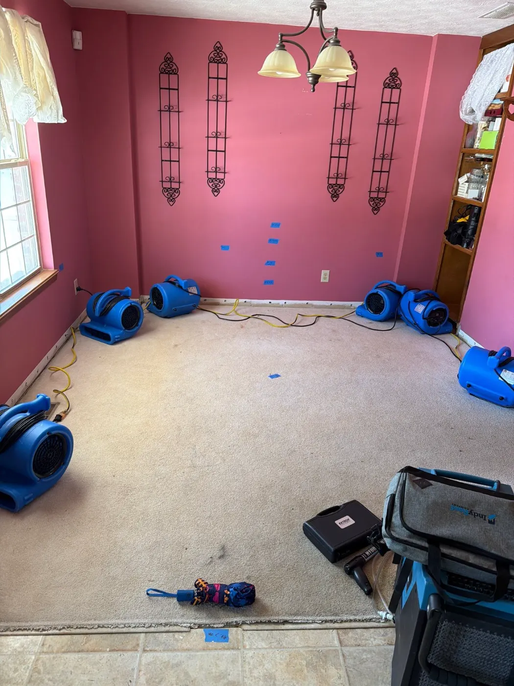 Water Damage Restoration Companies in Stonewater: Reviews and Cost